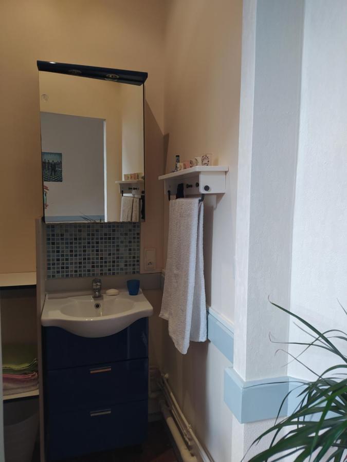 Chambre Dans Appartement De Caractere Dole Eksteriør billede